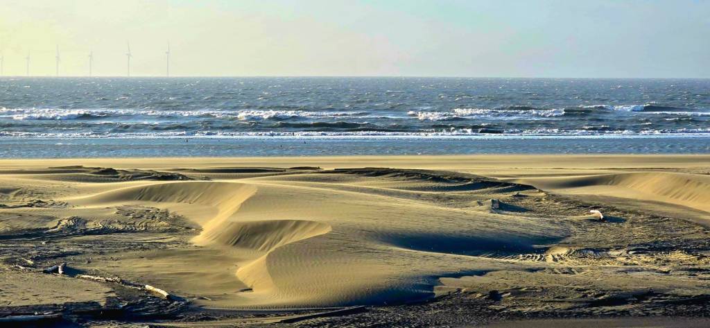 海風中未來藍圖：三條崙孩童與「文化不利」的交織書寫