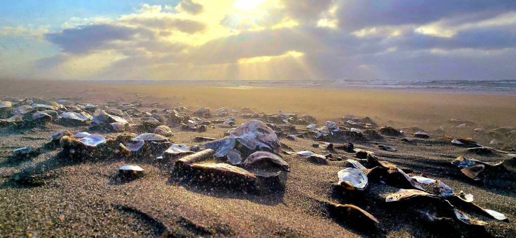 不再一人受苦：萡子寮跨國婚姻移民女性的移動與雙重邊際角色